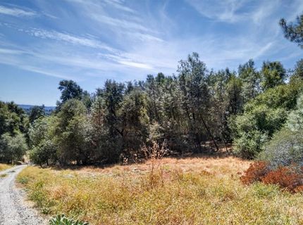 2 Berry Pond Rd, Placerville, CA 95667 Photo