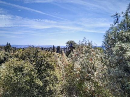 2 Berry Pond Rd, Placerville, CA 95667 Photo