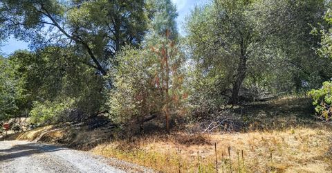 2 Berry Pond Rd, Placerville, CA 95667 Photo