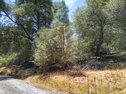 2 Berry Pond Rd, Placerville, CA 95667 Photo