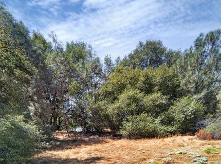 2 Berry Pond Rd, Placerville, CA 95667 Photo