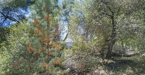 2 Berry Pond Rd, Placerville, CA 95667 Photo