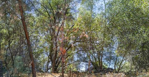 2 Berry Pond Rd, Placerville, CA 95667 Photo