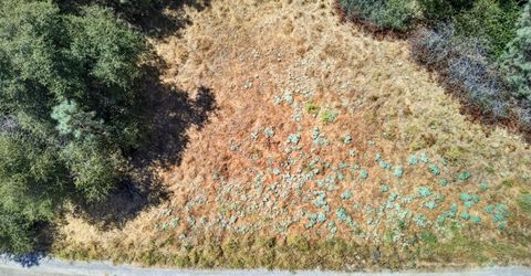 2 Berry Pond Rd, Placerville, CA 95667 Photo