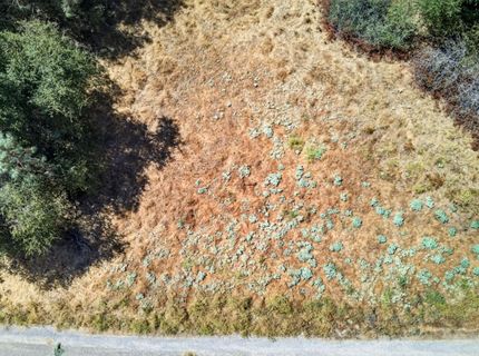 2 Berry Pond Rd, Placerville, CA 95667 Photo
