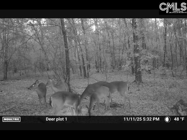 430 Millers Pond  Photo 10