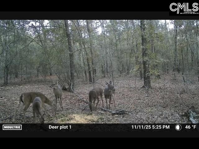 430 Millers Pond  Photo 11