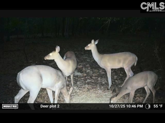 430 Millers Pond  Photo 12