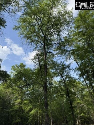430 Millers Pond  Photo 4
