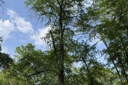430 Millers Pond  photo 4