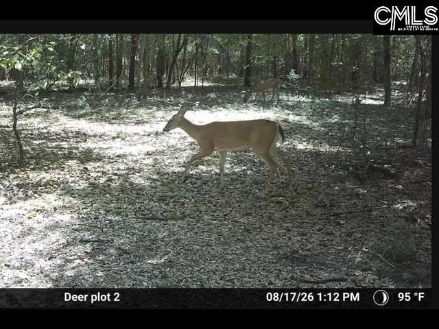 430 Millers Pond  Photo 6