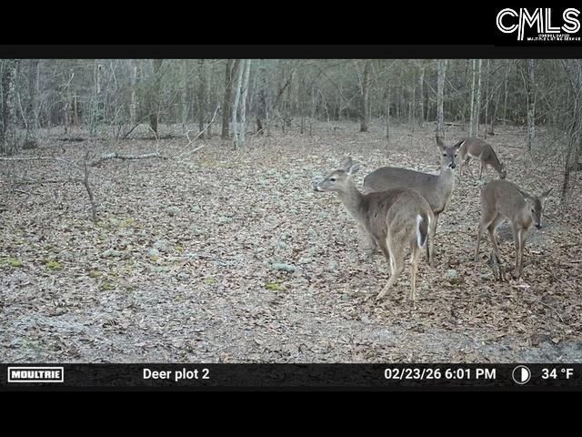 430 Millers Pond  Photo 7