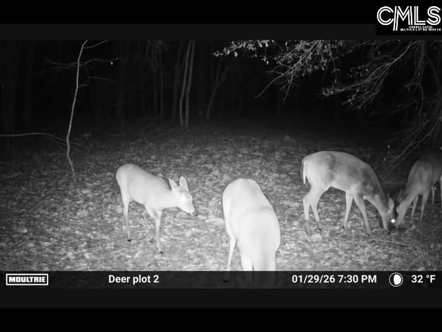 430 Millers Pond  Photo 8