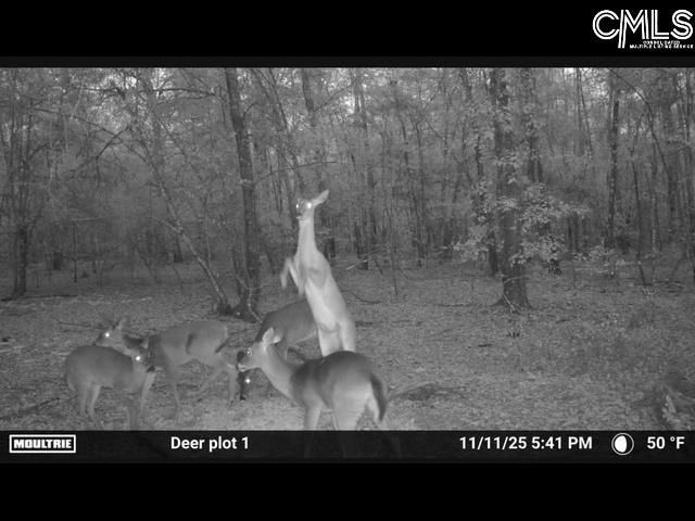 430 Millers Pond  Photo 9