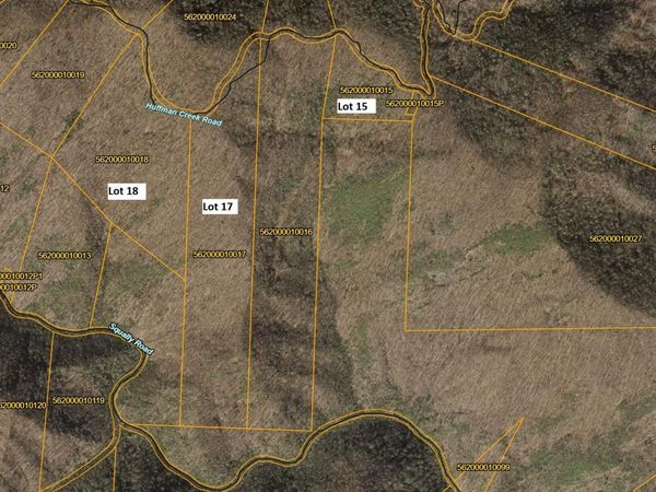 00 Huffman Creek Road , Robbinsville, NC 28771
