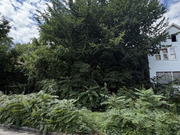 8228 S Manistee Avenue , Chicago, IL 60617