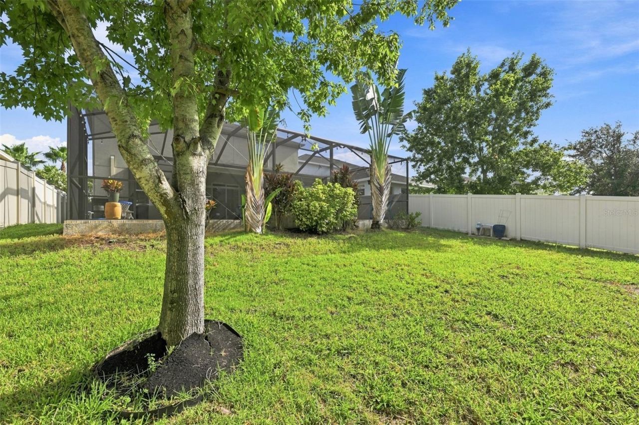 11156 Spring Point Circle , Riverview, FL 33579 Photo