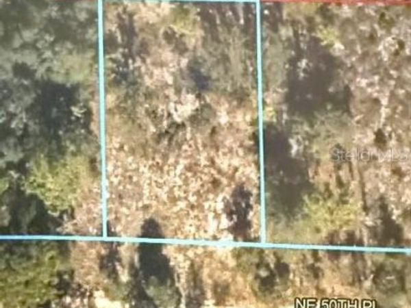 00 NE 50TH PLACE, WILLISTON, FL 32696