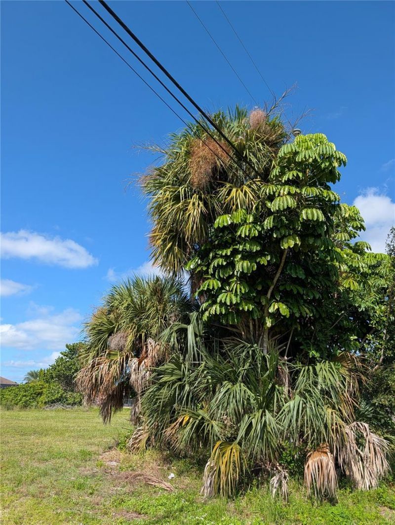 216 SW 12th Street, Cape Coral, FL 33991 Photo