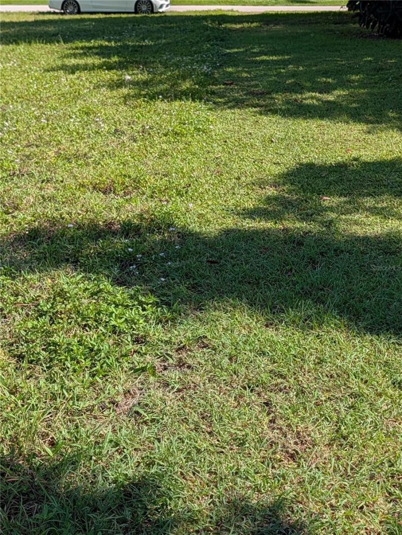 216 SW 12th Street, Cape Coral, FL 33991 Photo