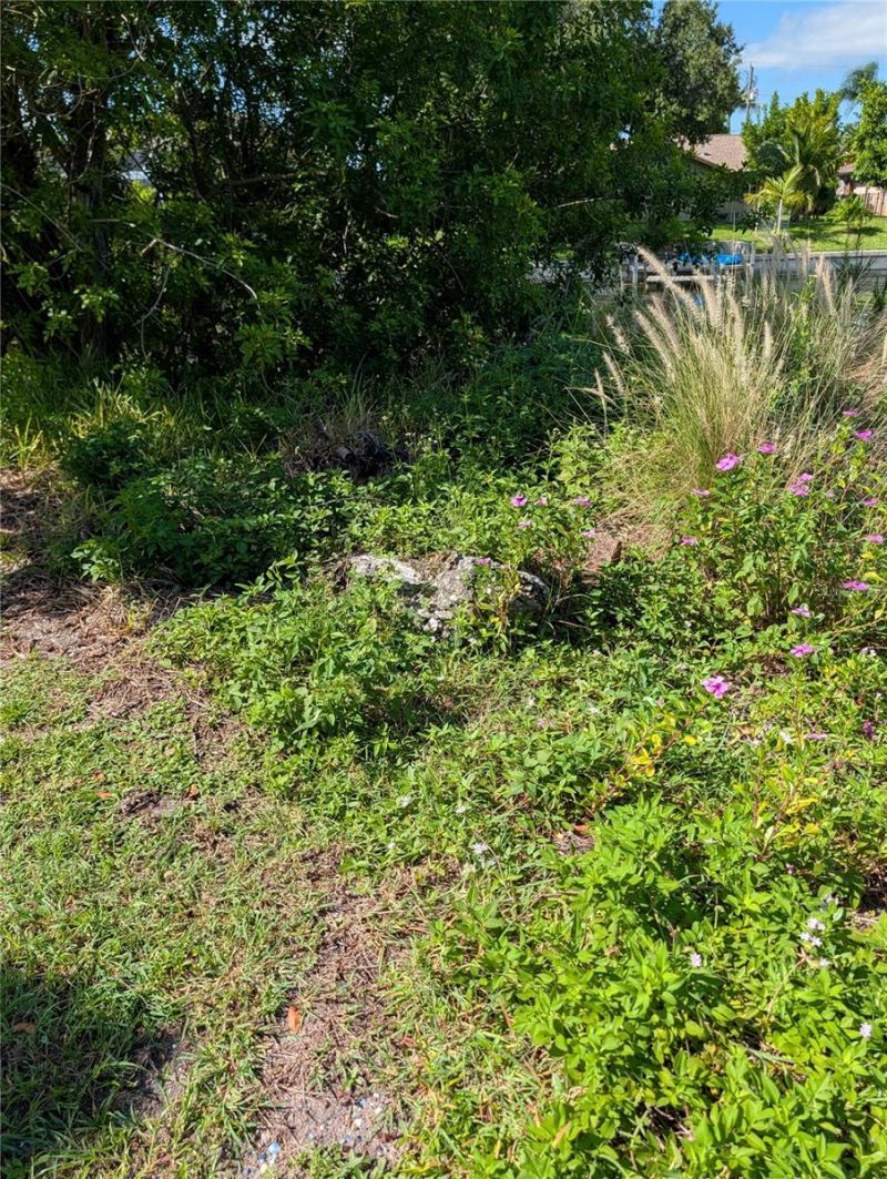 216 SW 12th Street, Cape Coral, FL 33991 Photo
