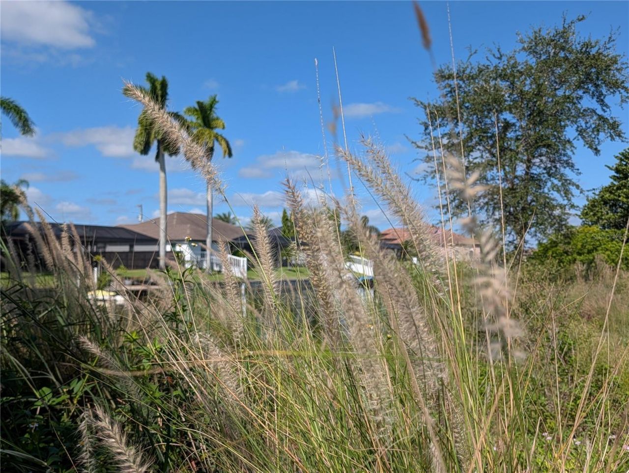 216 SW 12th Street, Cape Coral, FL 33991 Photo