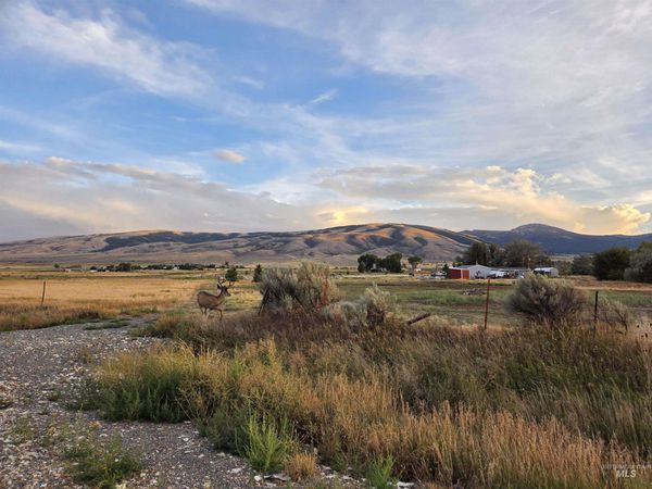 Lot 9, Block 2 Honey Locust, Albion, ID 83311