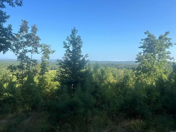 TBD 347 Highway, Bismarck, AR 71929