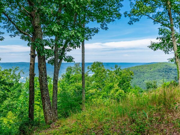 0 Whiskey Way, Jasper, TN 37347
