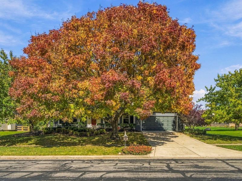 5541 Summer Boulevard, Galena, OH 43021 Photo 4