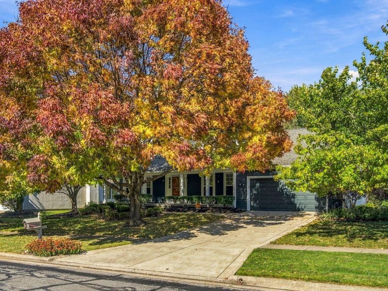 5541 Summer Boulevard, Galena, OH 43021 Photo 5