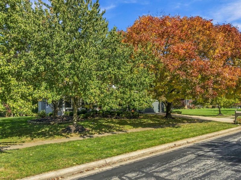 5541 Summer Boulevard, Galena, OH 43021 Photo 6