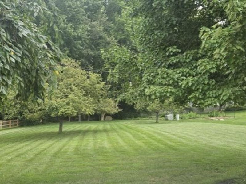 5541 Summer Boulevard, Galena, OH 43021 Photo 9