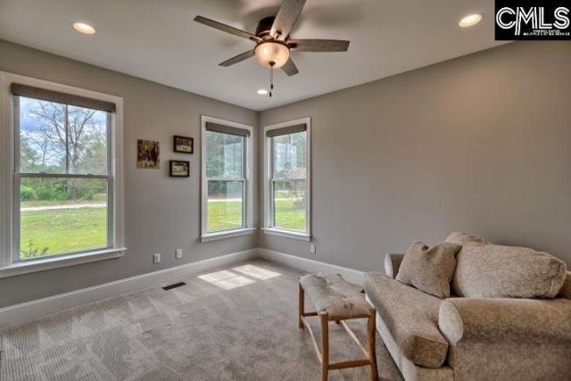 172 Eugene Neese Lane  Photo 18