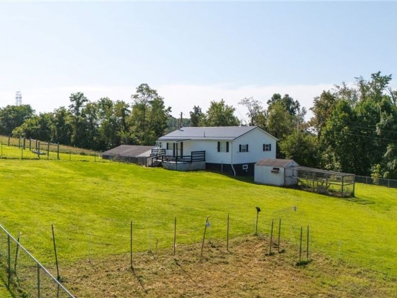 58915 Homco Road, Jacobsburg, OH 43933 Photo 12