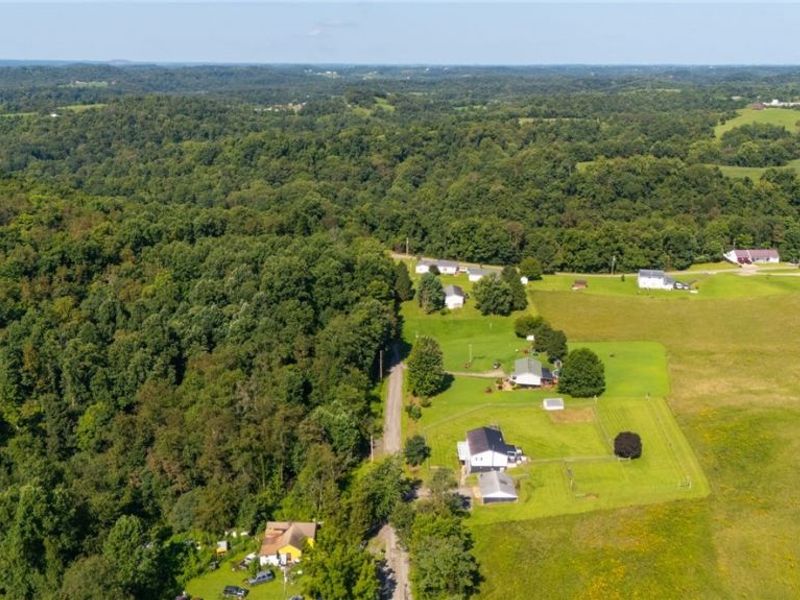 58915 Homco Road, Jacobsburg, OH 43933 Photo 14