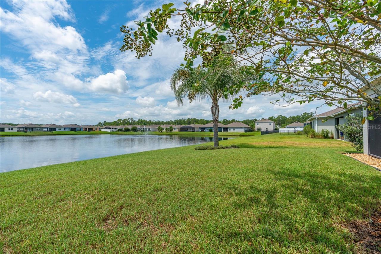 3112 Areca Avenue, New Smyrna Beach, FL 32168 Photo