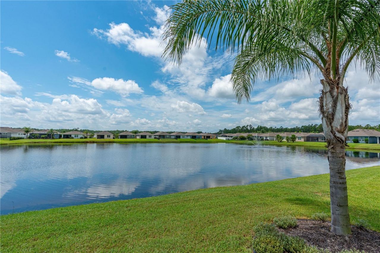 3112 Areca Avenue, New Smyrna Beach, FL 32168 Photo