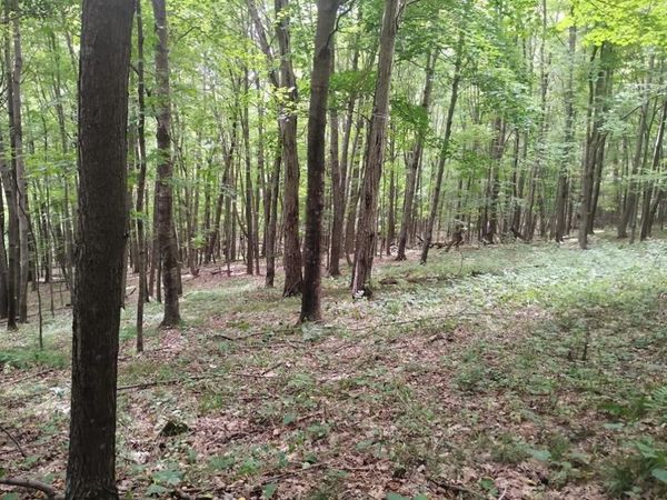 0 1130th, Colfax, WI 54730