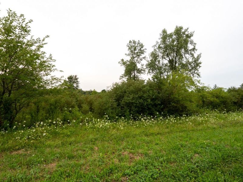 4 N TR 69, Kansas, OH 44841 Photo 20