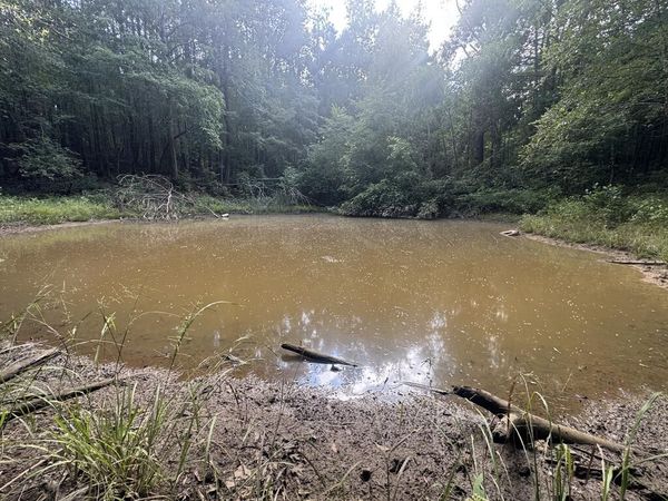 N/A County Road 1495, Other, MS 38833