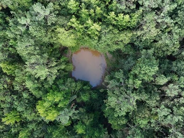 N/A County Road 1495, Other, MS 38833