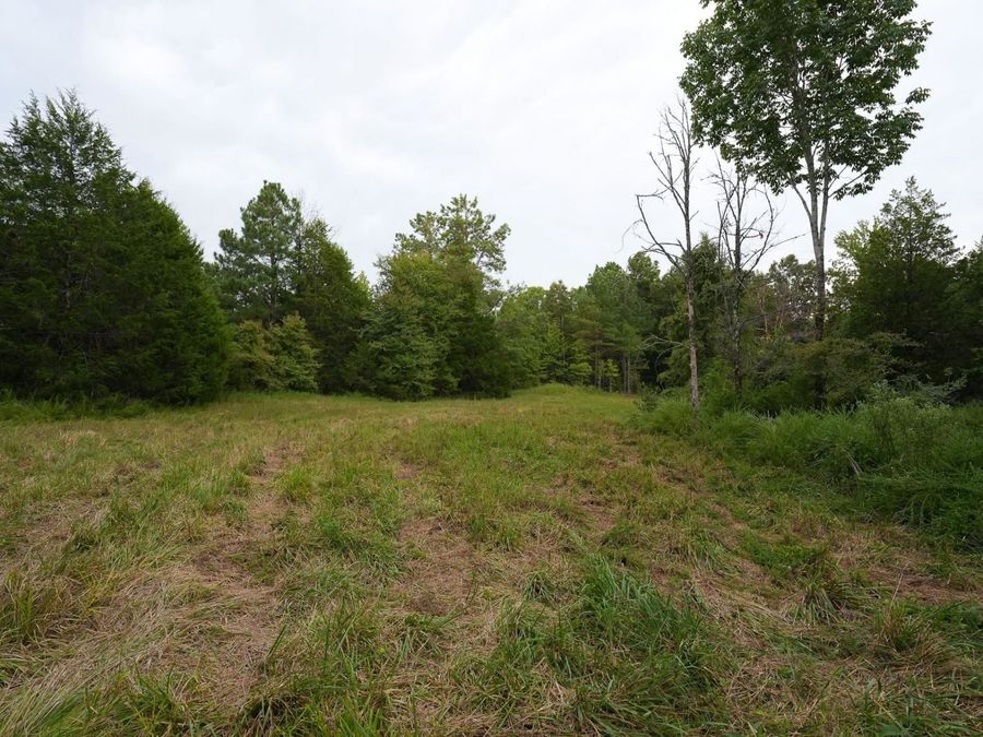 Property Image 36