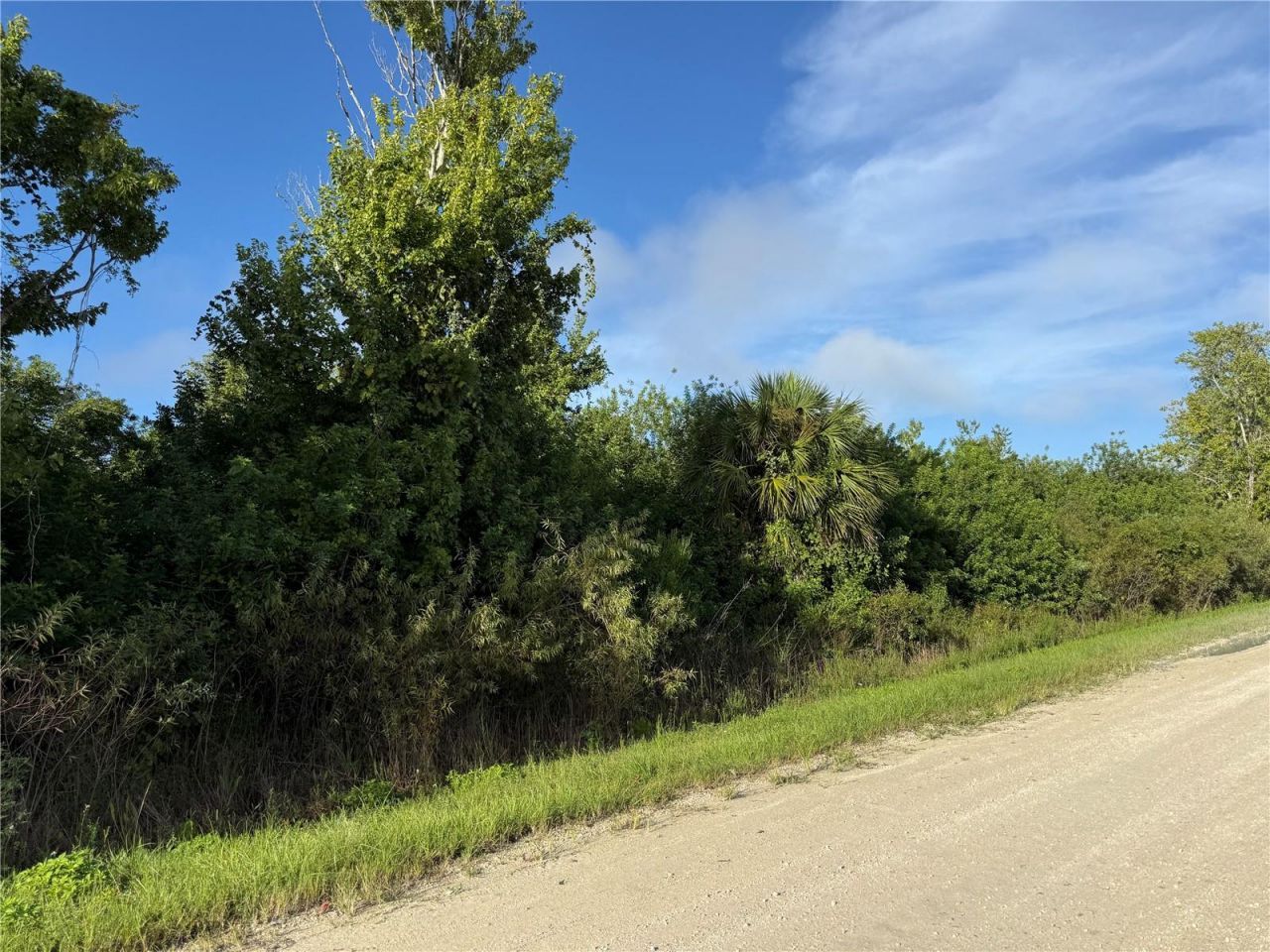 700 Shady Hollow Boulevard W, Naples, FL 34120 Photo