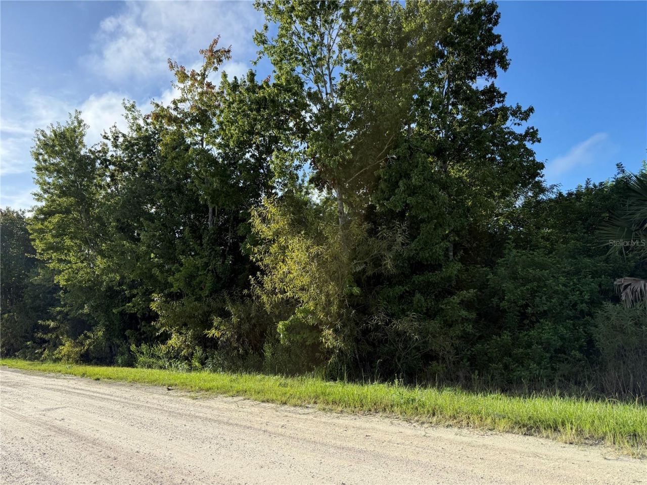700 Shady Hollow Boulevard W, Naples, FL 34120 Photo