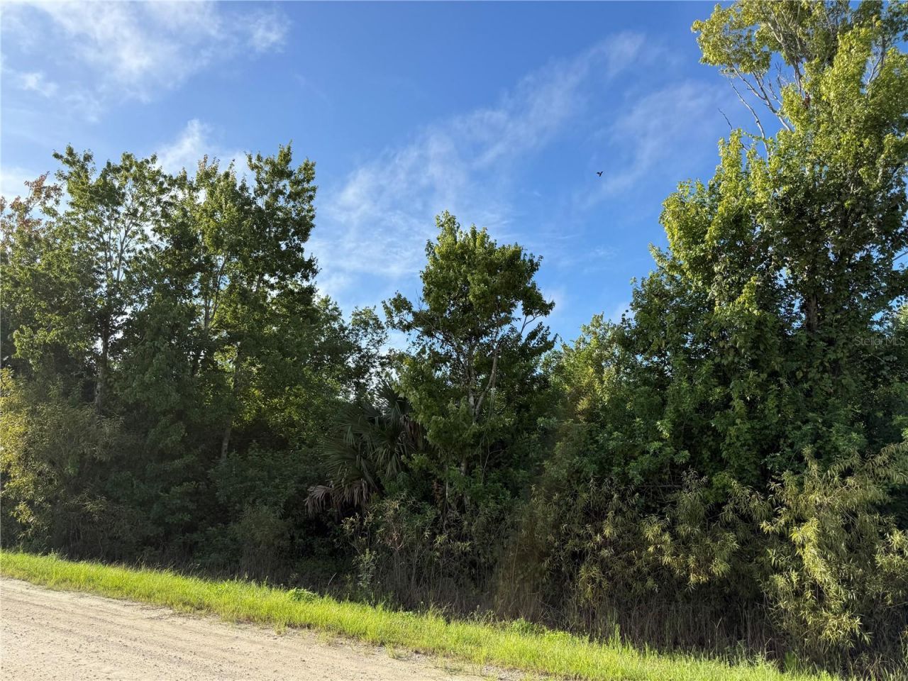 700 Shady Hollow Boulevard W, Naples, FL 34120 Photo