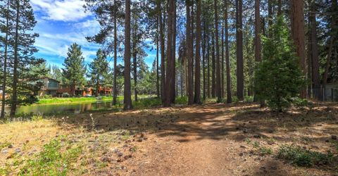 593 Tahoe Island Drive, South Lake Tahoe, CA 96150 Photo