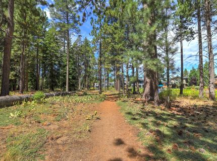 593 Tahoe Island Drive, South Lake Tahoe, CA 96150 Photo