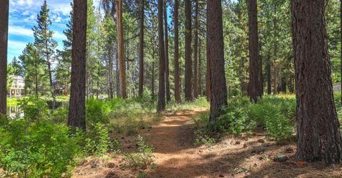 593 Tahoe Island Drive, South Lake Tahoe, CA 96150 Photo