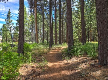 593 Tahoe Island Drive, South Lake Tahoe, CA 96150 Photo